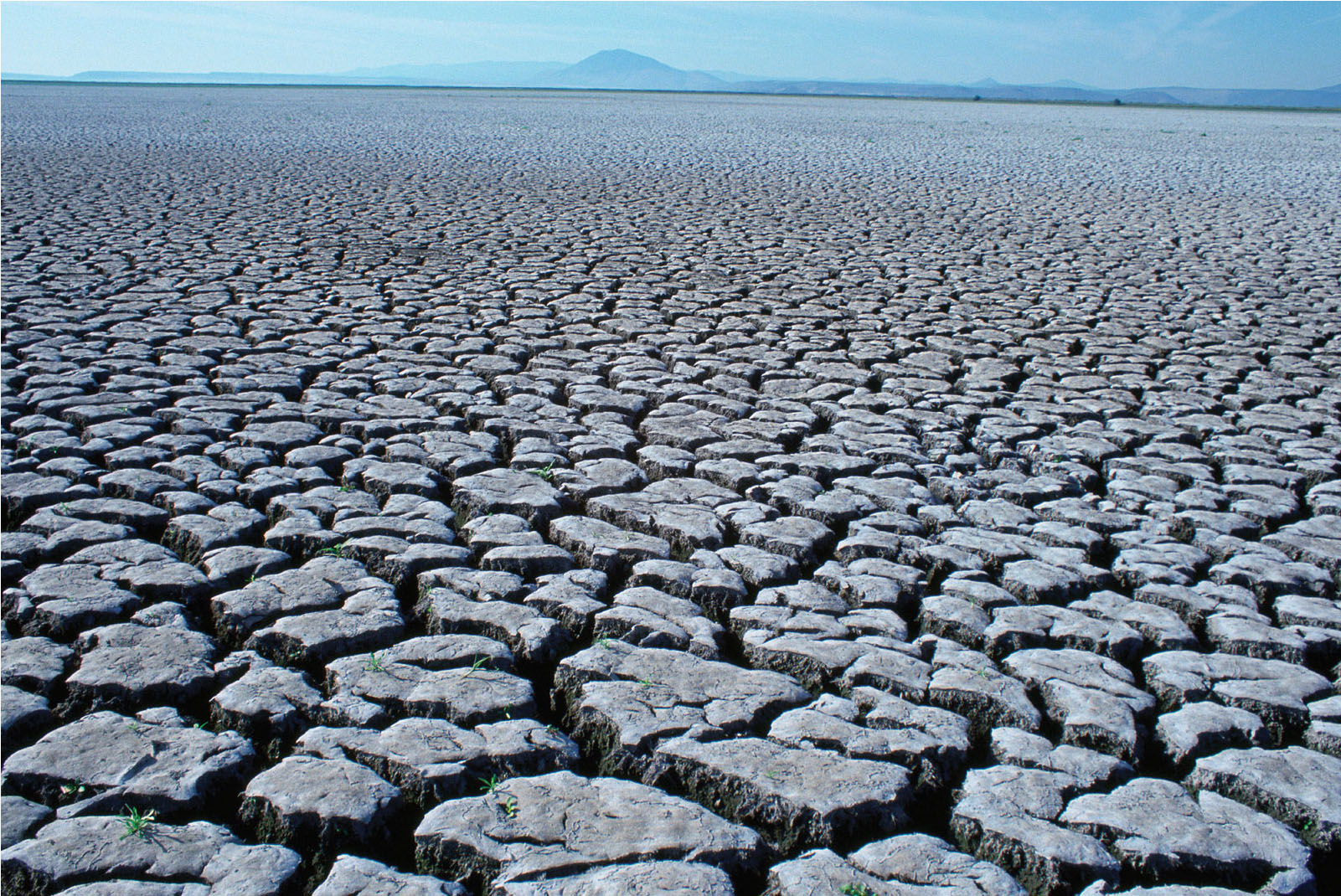 Climate Change