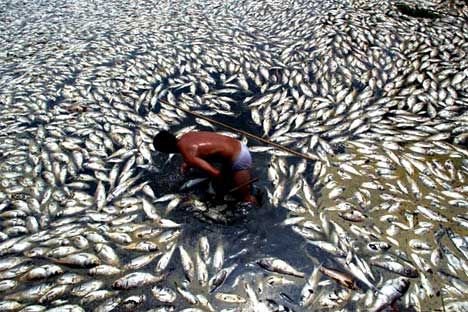 Environmental Refugees