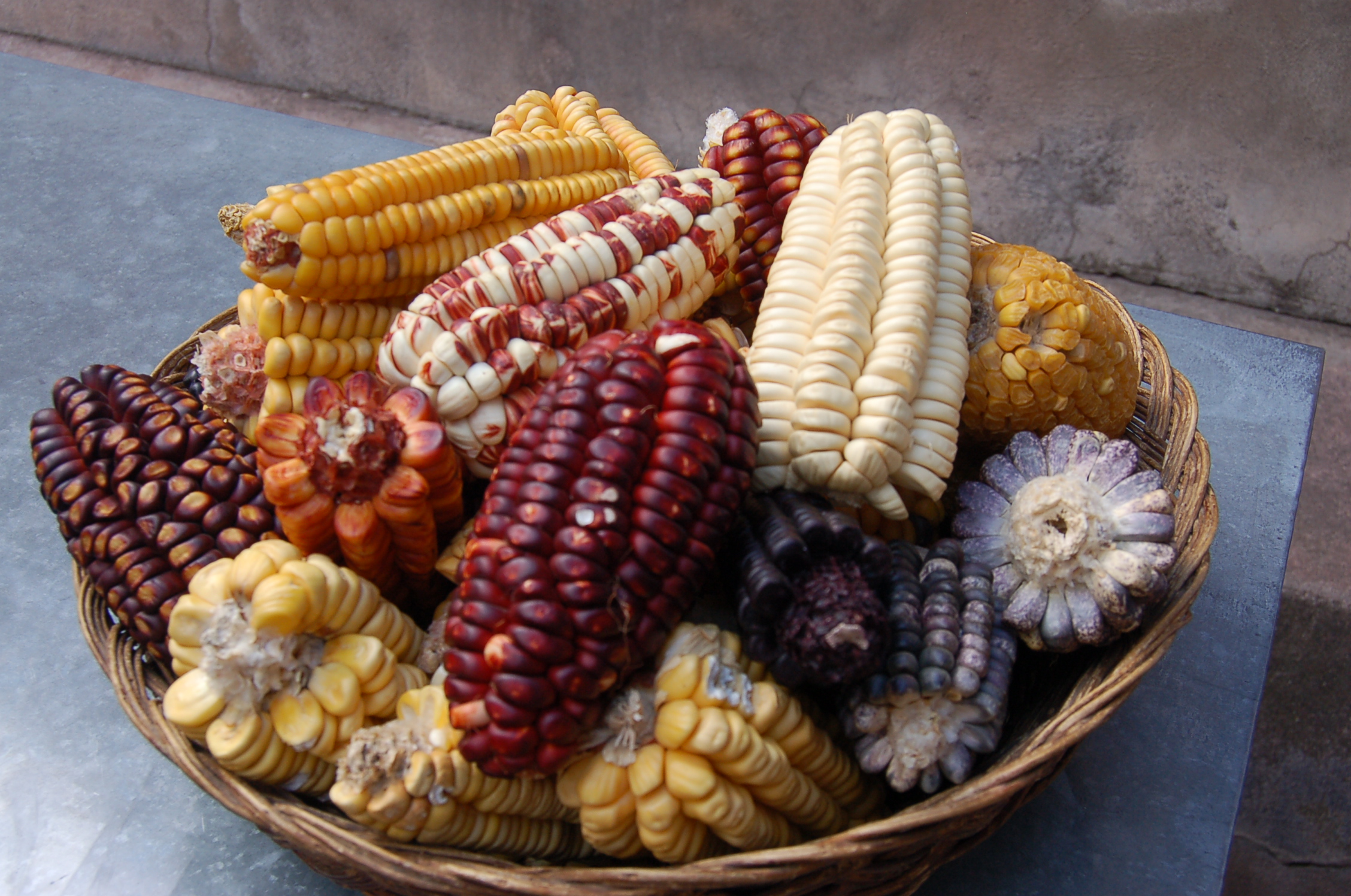 Healthy Food & Sustainable Agriculture