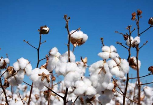 Water Pollution in Textile Production